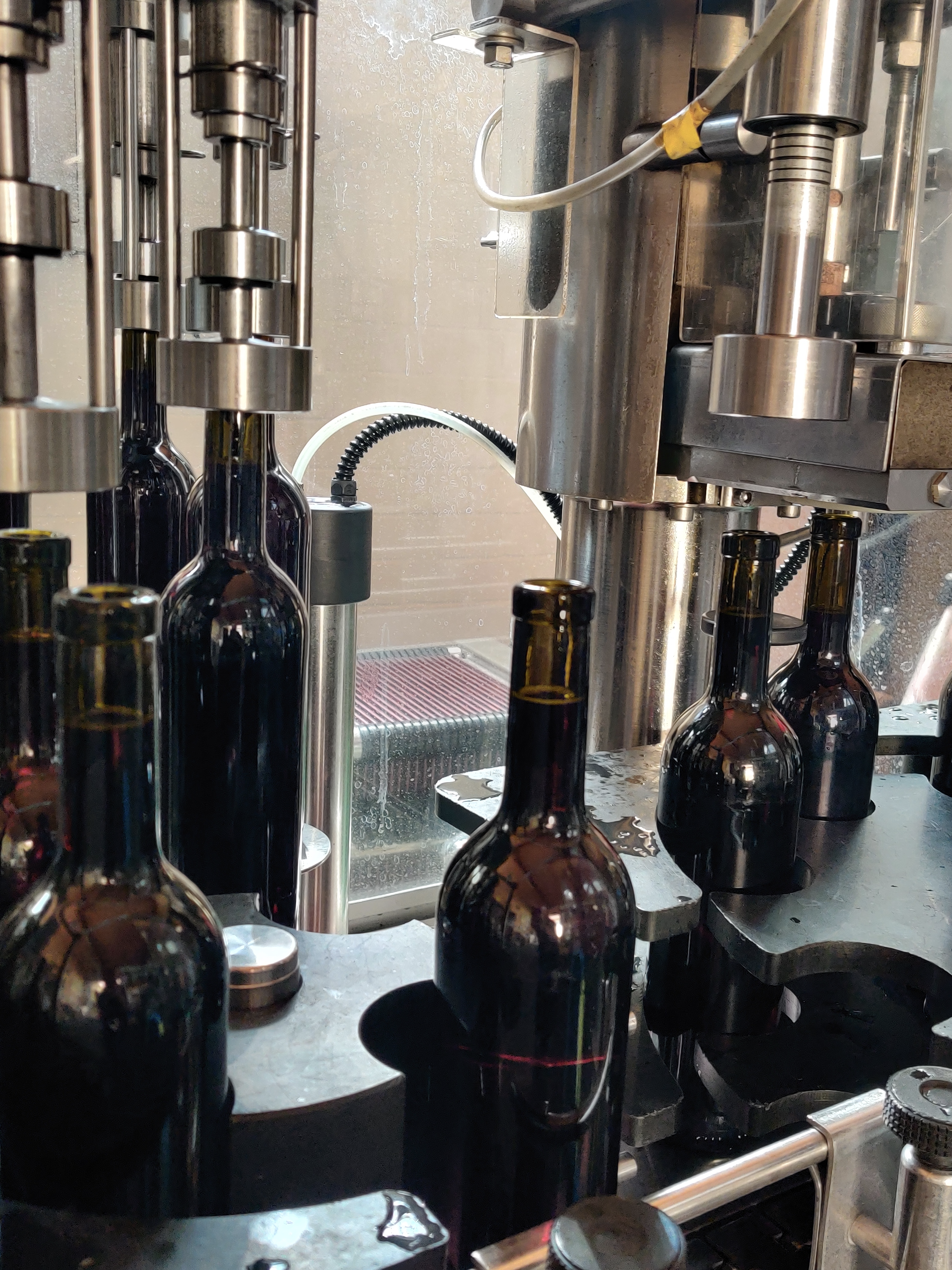 Rotwein an der Abfüllanlage