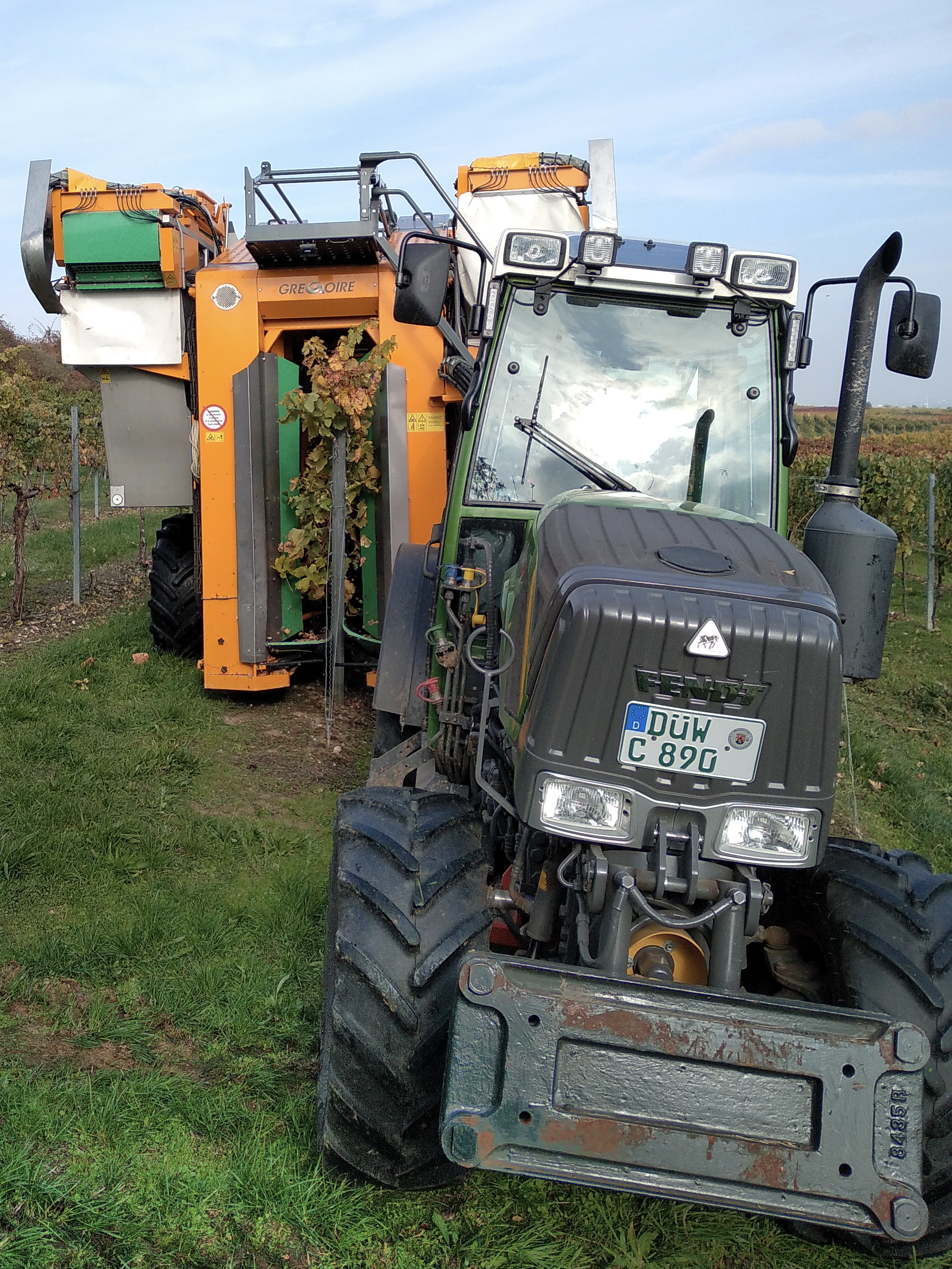 Vollernter bei der Weinlese von vorn