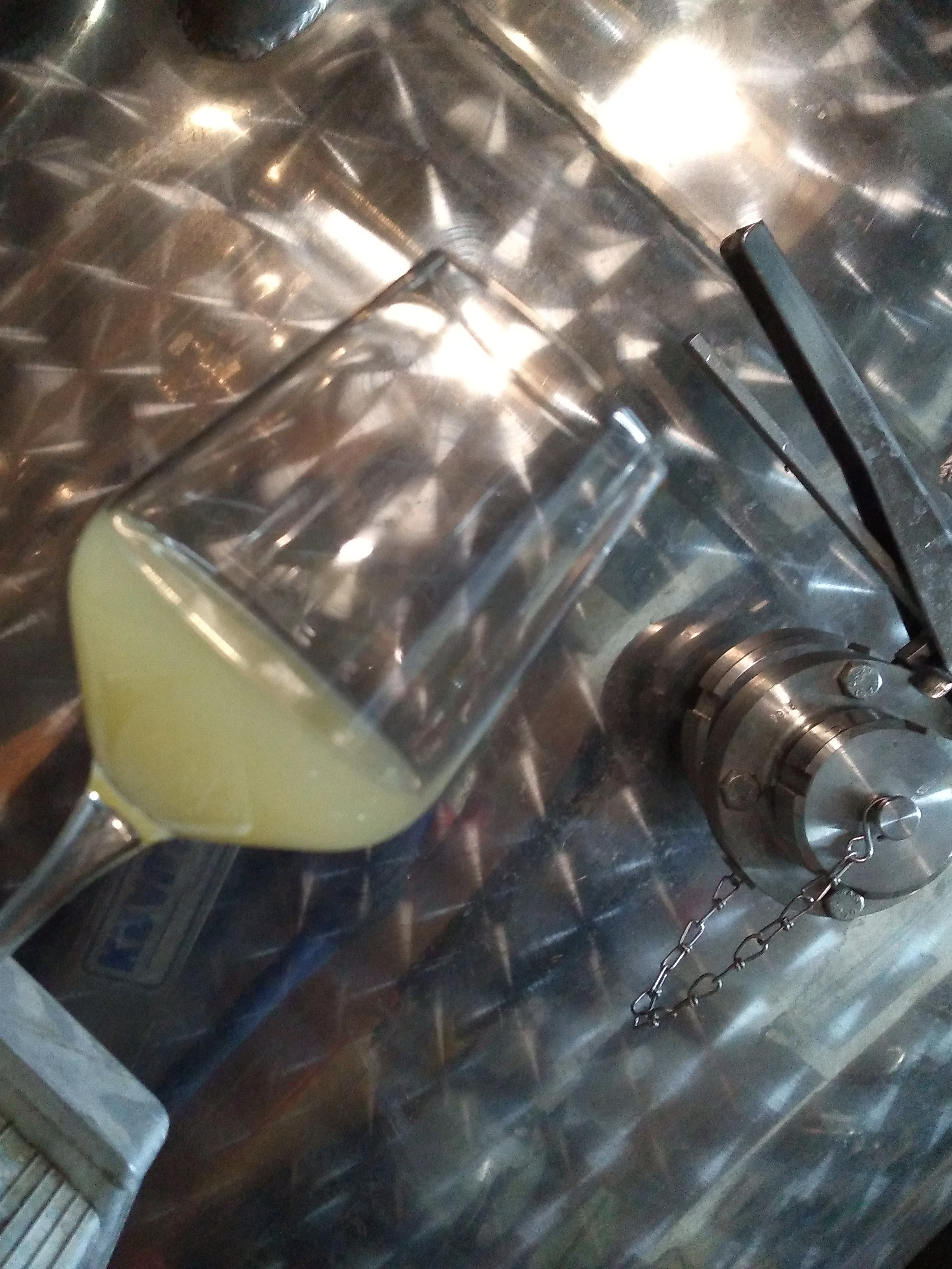 Neuer Wein im Keller im Herbst